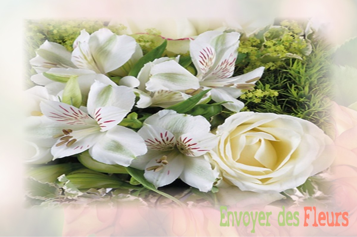 envoyer des fleurs à à SAINT-JACQUES-DES-GUERETS